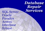 Database Repair Services